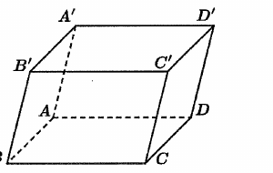 Hình câu 2