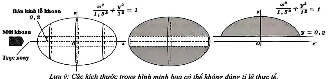 Hình câu 19